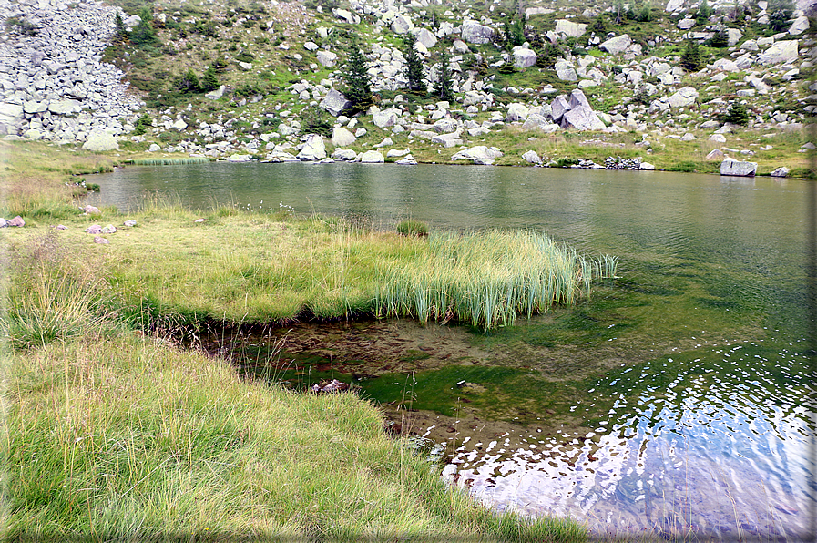 foto Lago di Montalon